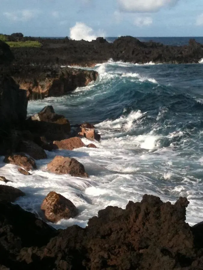 Hawaii Tropical Volcano mansion + Sauna Hilo Casa vacanze