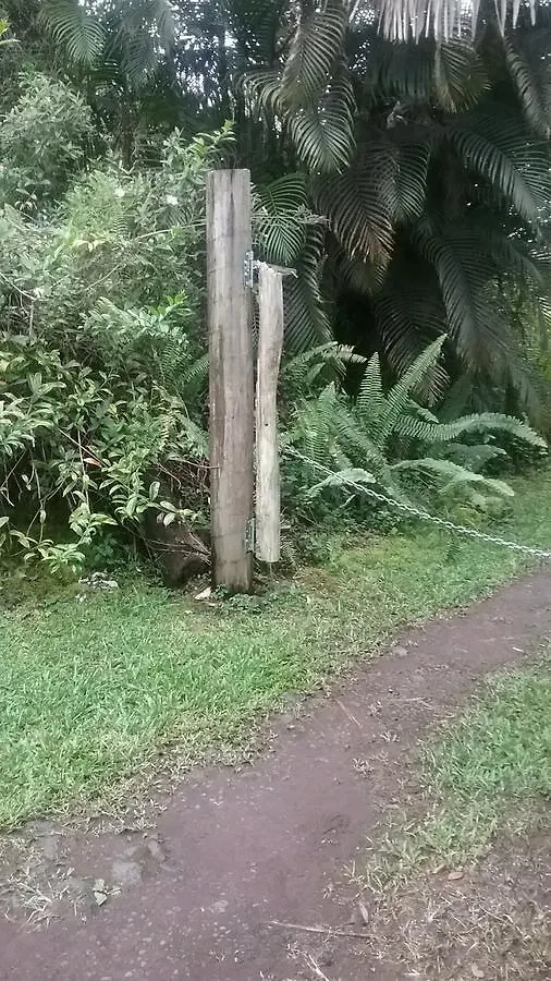 Hawaii Tropical Volcano mansion + Sauna Hilo