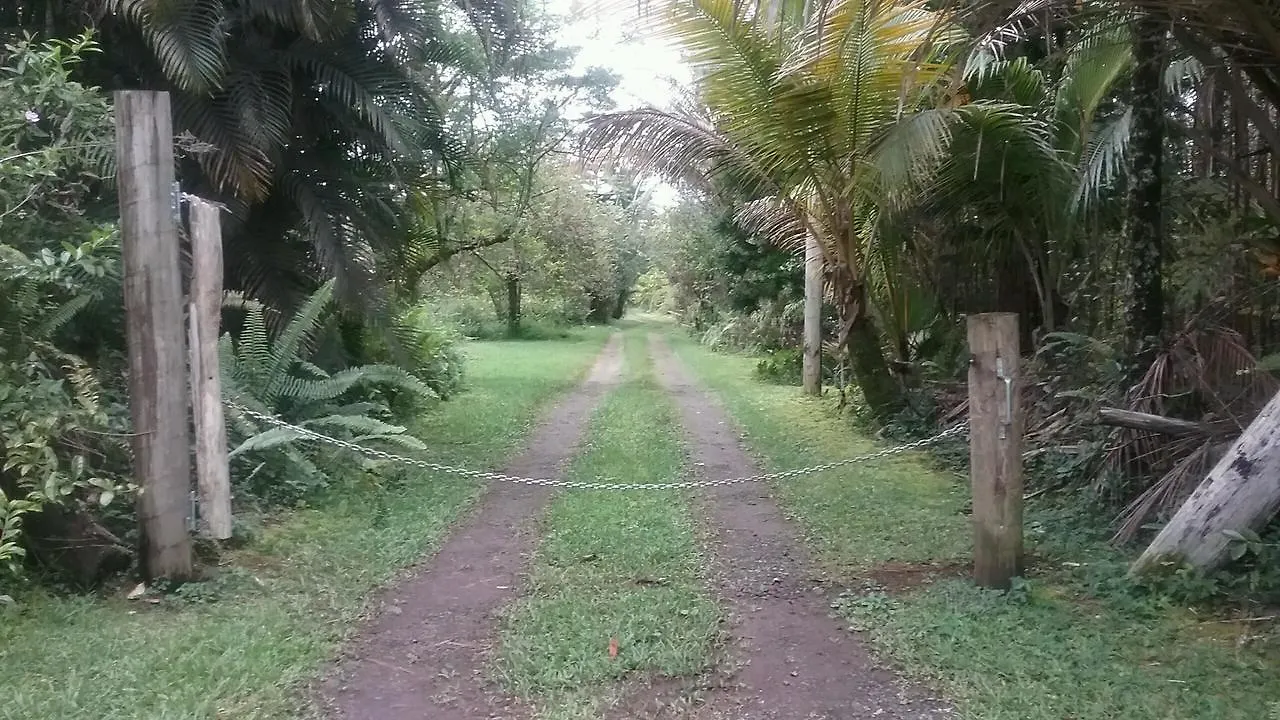 Casa vacanze Hawaii Tropical Volcano mansion + Sauna Hilo Stati Uniti